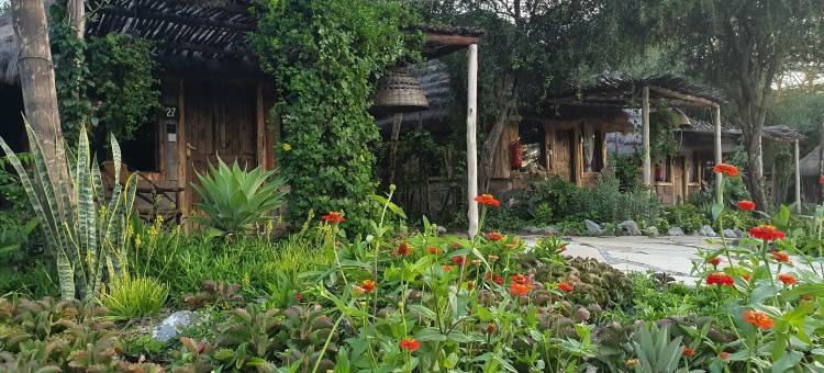 斯瓦拉阿卡西亚旅馆(Swara Acacia Lodge)图片