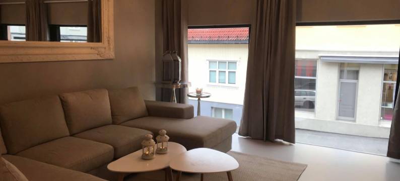 诺托登森特伦公寓 2 号酒店(Notodden Sentrum Apartment No 2)图片