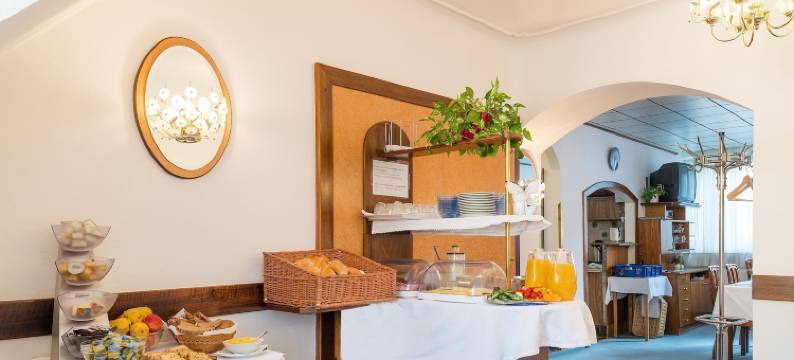 格西勒博士高级旅馆(Pension Dr. Geissler)图片