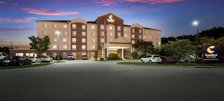萨福克舒适套房酒店-切萨皮克(Comfort Suites Suffolk - Chesapeake)图片