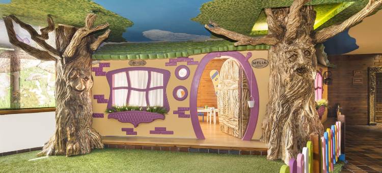 内华达山脉美利亚酒店(Melia Sierra Nevada)图片