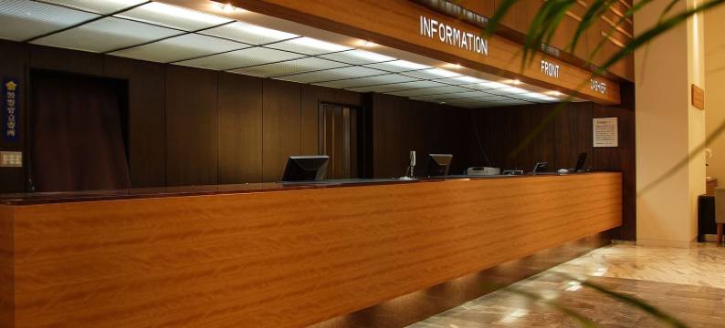 新盖亚酒店-大牟田花园(Hotel New Gaea Omuta Garden)图片