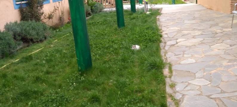 弗洛尔旅馆(Hostería Casa Flor)图片