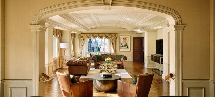 纽约丽晶洛斯酒店(Loews Regency New York Hotel)图片