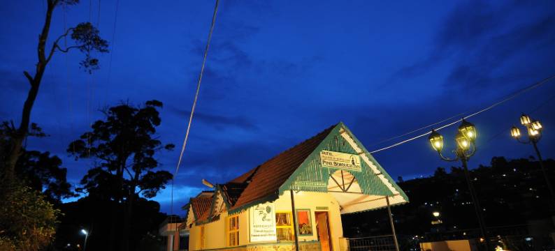 松树旅馆(Pine Borough Inn)图片