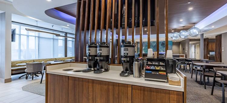 底特律斯特林海茨万豪SpringHill酒店(SpringHill Suites by Marriott Detroit Sterling Heights)图片