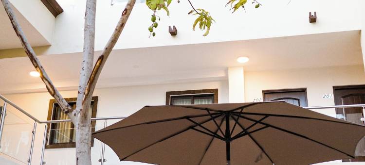 洛雷托帕尔马酒店(Hotel Loreto Palmar)图片