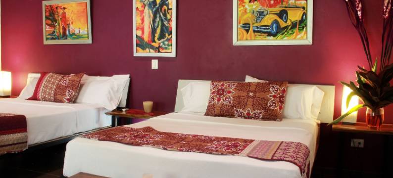 帕玛士绿洲酒店(Oasis de las Palmas)图片