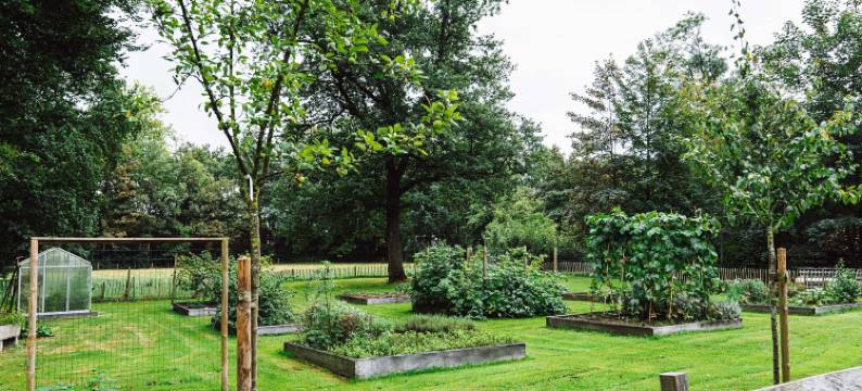 维瑟林酒店(Hotel Wesseling)图片