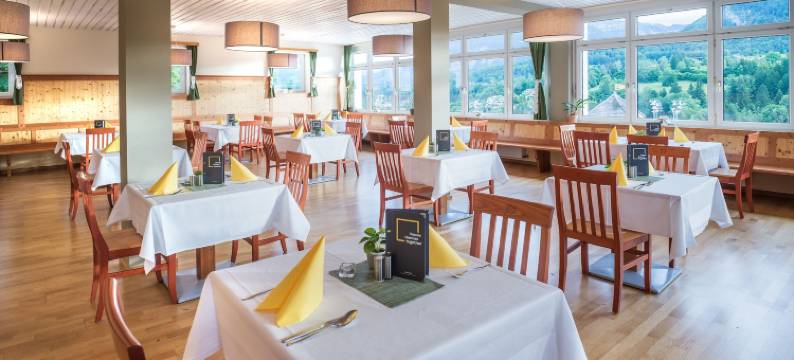 巴特奥塞JUFA酒店(Jufa Hotel Bad Aussee)图片