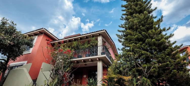 圣菲利浦小屋(Bungalows San Felipe)图片