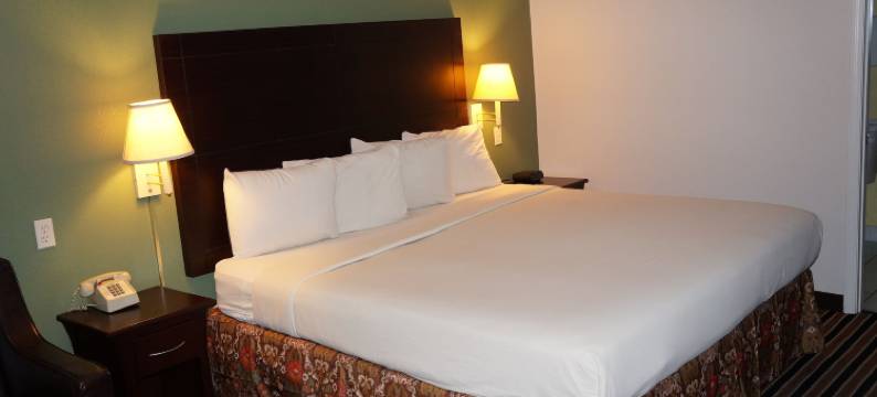 丽晶酒店(Regency Inn Pittsburg)图片