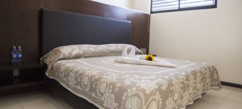 罗斯酒店(Hotel Ross)图片