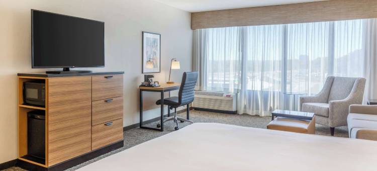 圣路易斯西南德鲁里套房酒店(Drury Inn & Suites St. Louis-Southwest)图片