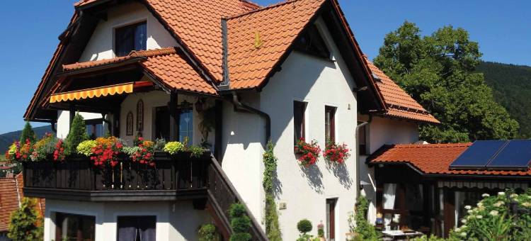 全景公寓(Ferienwohnung Panorama)图片