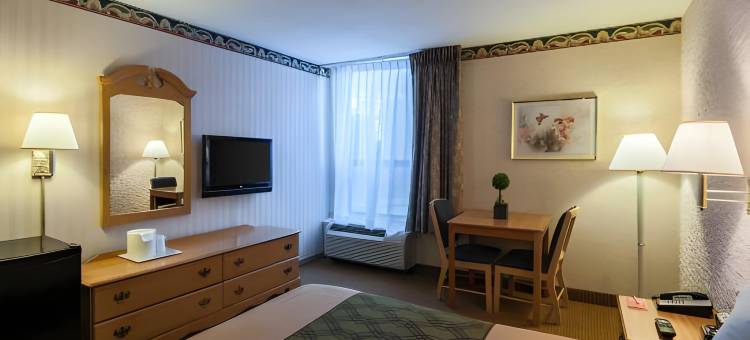 新城伊康旅馆(Econo Lodge Metro)图片