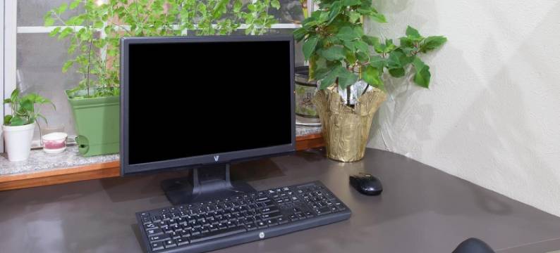 奇卡沙速8酒店(Super 8 by Wyndham Chickasha)图片