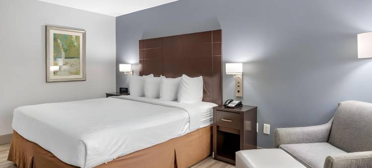 橙县贝斯特韦斯特优质酒店(Best Western Plus Orange County)图片