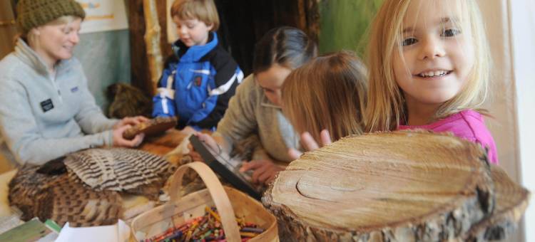 Fairmont Heritage Place, Franz Klammer Lodge图片