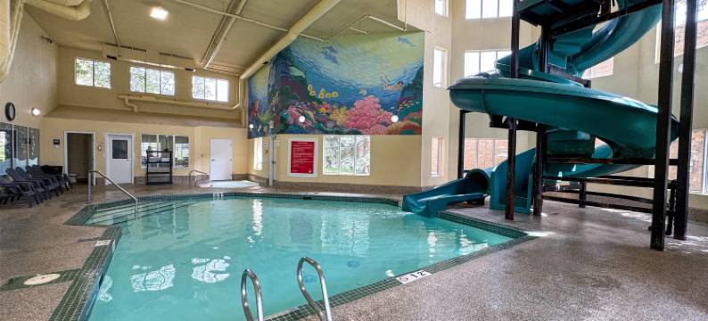 埃德蒙顿南速8酒店(Super 8 by Wyndham Edmonton South)图片