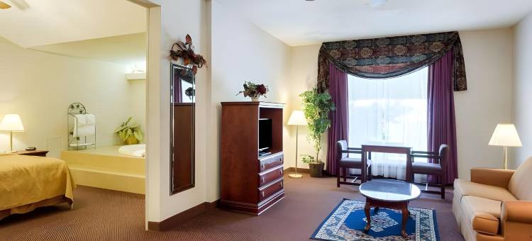 凯艺酒店(Quality Inn)图片