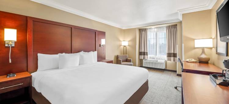 舒适套房酒店(Comfort Inn & Suites Salinas)图片