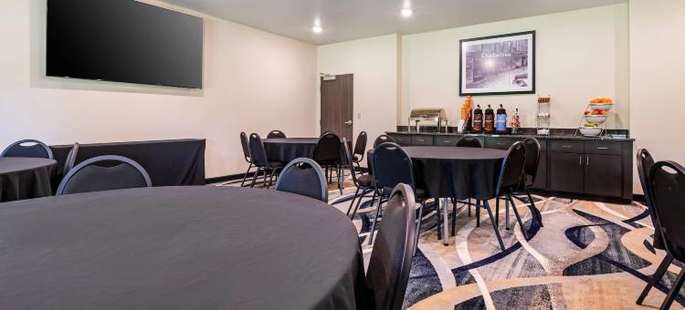 舒适酒店及套房梅迪纳纽约靠近伊利运河(Comfort Inn & Suites Medina NY Near Erie Canal)图片