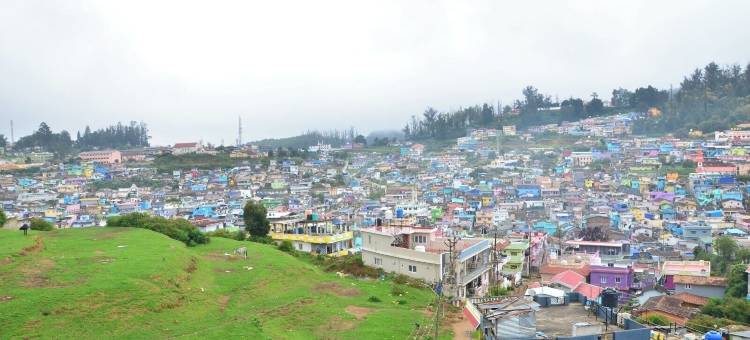 卢米诺皇冠酒店(Treebo Lumino Crown)图片