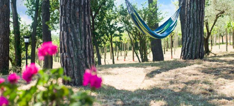 Enchanting Coastal with Views图片