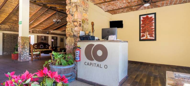 首都 O 瓜达拉哈拉特瑞萨西葡特色住宿酒店(Capital O Hotel Posada Terraza, Guadalajara)图片