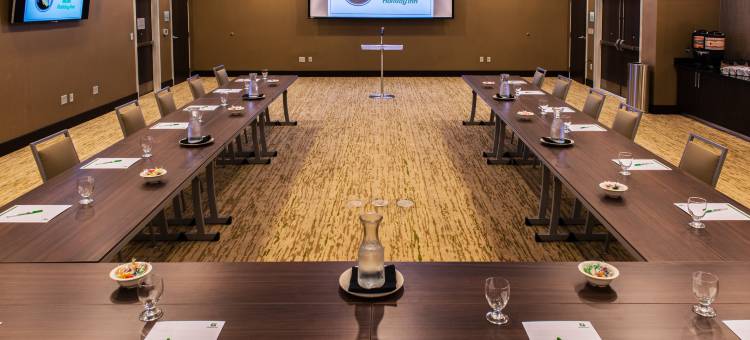 欧文斯伯勒河滨假日酒店(Holiday Inn Owensboro Riverfront)图片