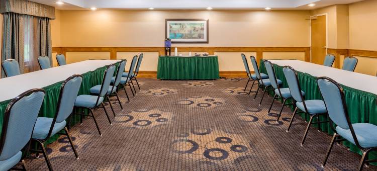 坎顿洲际智选假日套房酒店(Holiday Inn Express & Suites CANTON by IHG)图片