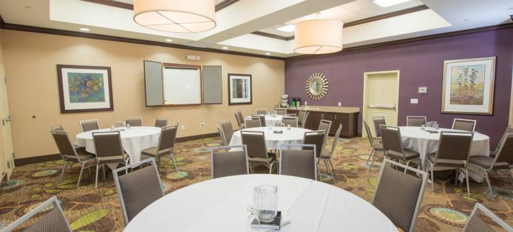 Holiday Inn 俾斯麦(Holiday Inn Bismarck)图片