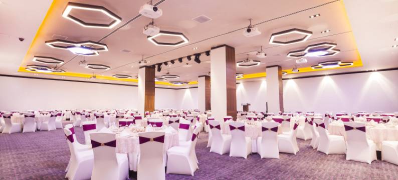 开塞利-杜文诺努假日酒店(Holiday Inn KAYSERI - DUVENONU by IHG)图片