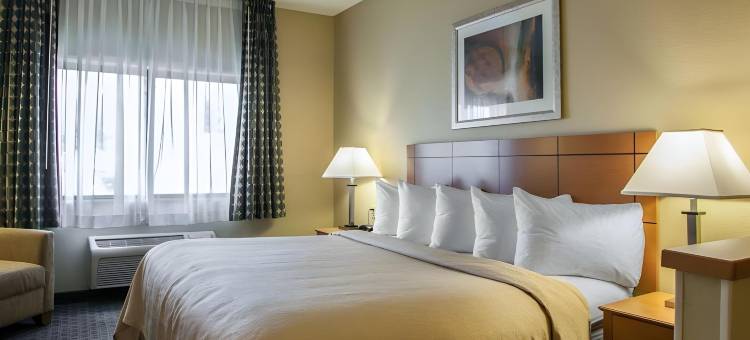 凯艺酒店(Quality Inn Forsyth Decatur)图片