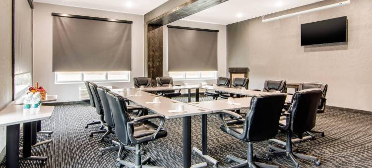 舒适套房酒店(Comfort Inn & Suites)图片