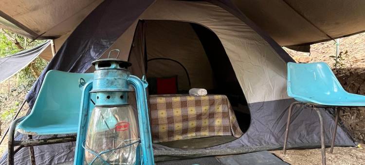 野生天堂营地(Wild Paradise Camp Belihuloya)图片