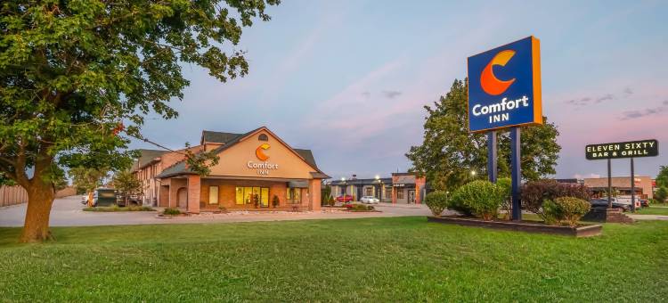 舒适酒店(Comfort Inn)图片