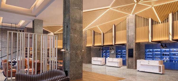 阿姆利则购物路福朋喜来登酒店(Four Points by Sheraton Amritsar, Mall Road)图片