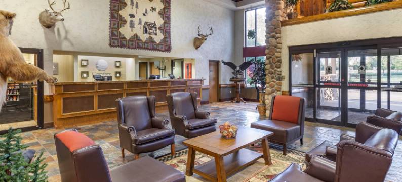 布兰森梅多斯舒适套房酒店(Comfort Inn & Suites Branson Meadows)图片