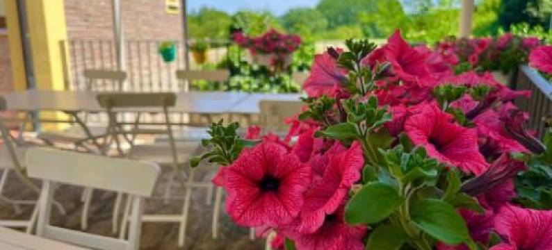 Bed & Breakfast Carpe Diem图片