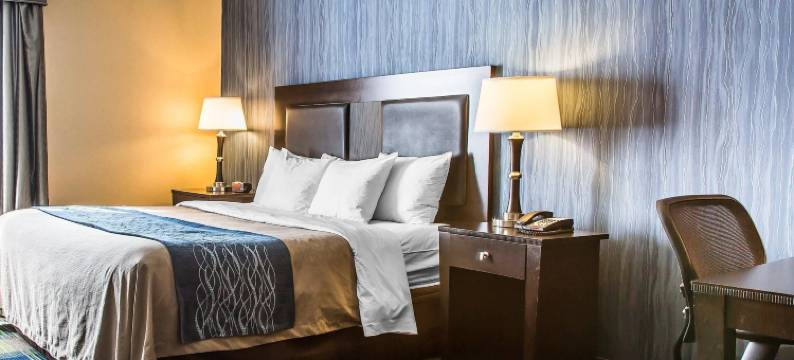 舒适套房酒店(Comfort Inn & Suites)图片