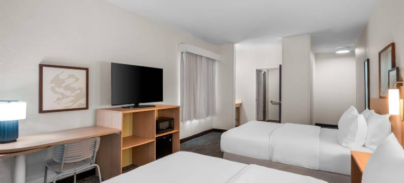 安娜堡南希尔顿Spark酒店(Spark by Hilton Ann Arbor South)图片