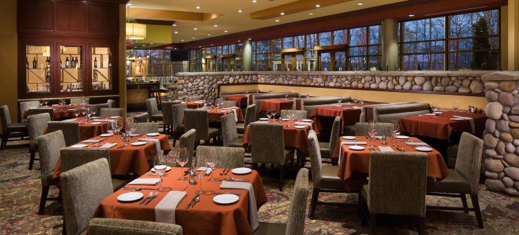 夏洛特康柯德高尔夫度假村及水疗中心希尔顿安泊酒店(Embassy Suites by Hilton Charlotte Concord Golf Resort & Spa)图片