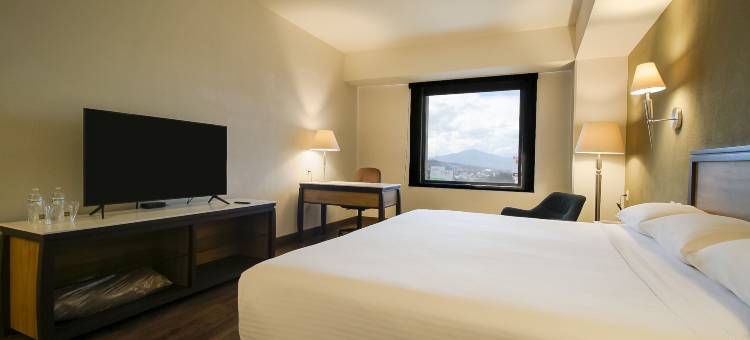 莫雷利亚图罗特尔酒店(Hotel Turotel Morelia)图片