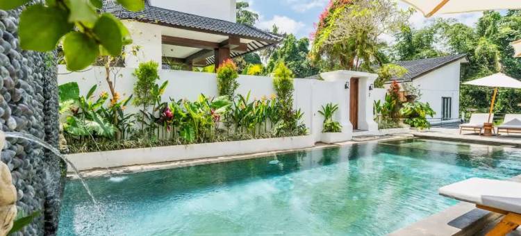 Sacred Jungle by EVDEkimi – Modern Villas and Apartments with Kitchens, Pools图片