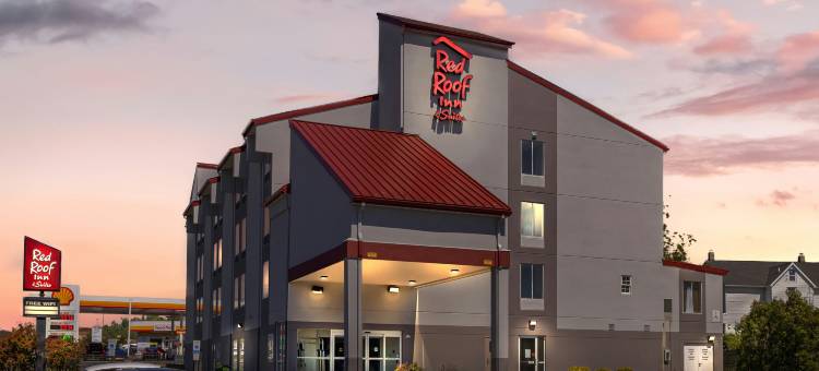 费城红顶套房酒店-贝尔马尔(Red Roof Inn & Suites Philadelphia - Bellmawr)图片
