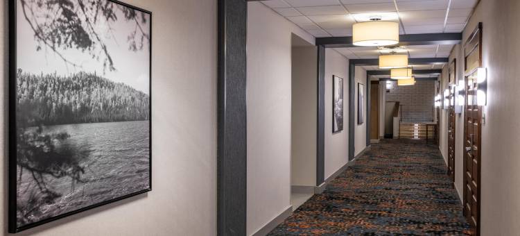 布卢明顿伊代纳希尔顿安泊酒店(Embassy Suites by Hilton Bloomington Edina)图片