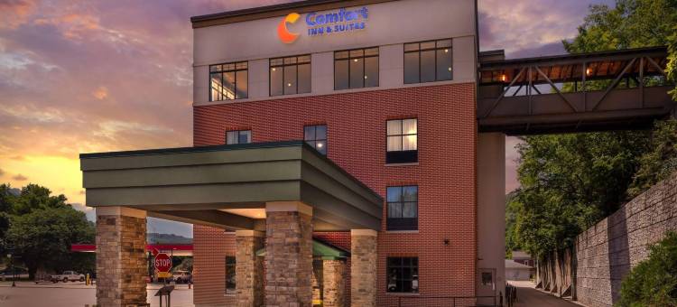 马凯特康福特酒店及套房 - 普雷里杜钦(Comfort Inn & Suites Marquette - Prairie du Chien)图片