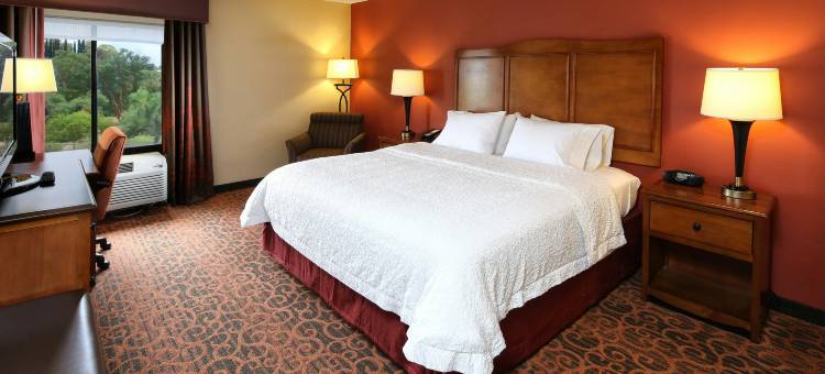 希尔顿欢朋套房酒店-图森购物中心(Hampton Inn & Suites Tucson-Mall)图片